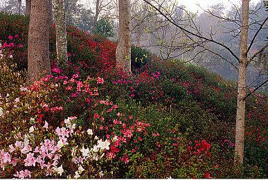 《吸血鬼：避世血族-血猎》夏季更新即将上线 将加入团队死亡竞赛